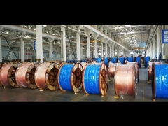 เวิร์คช็อป4